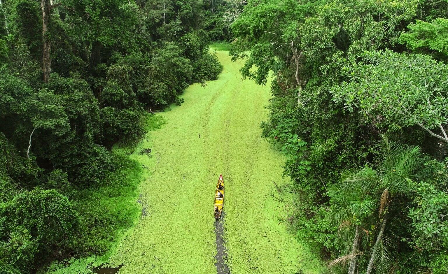Rio Crôa: Um Tesouro Natural em Cruzeiro do Sul, Acre