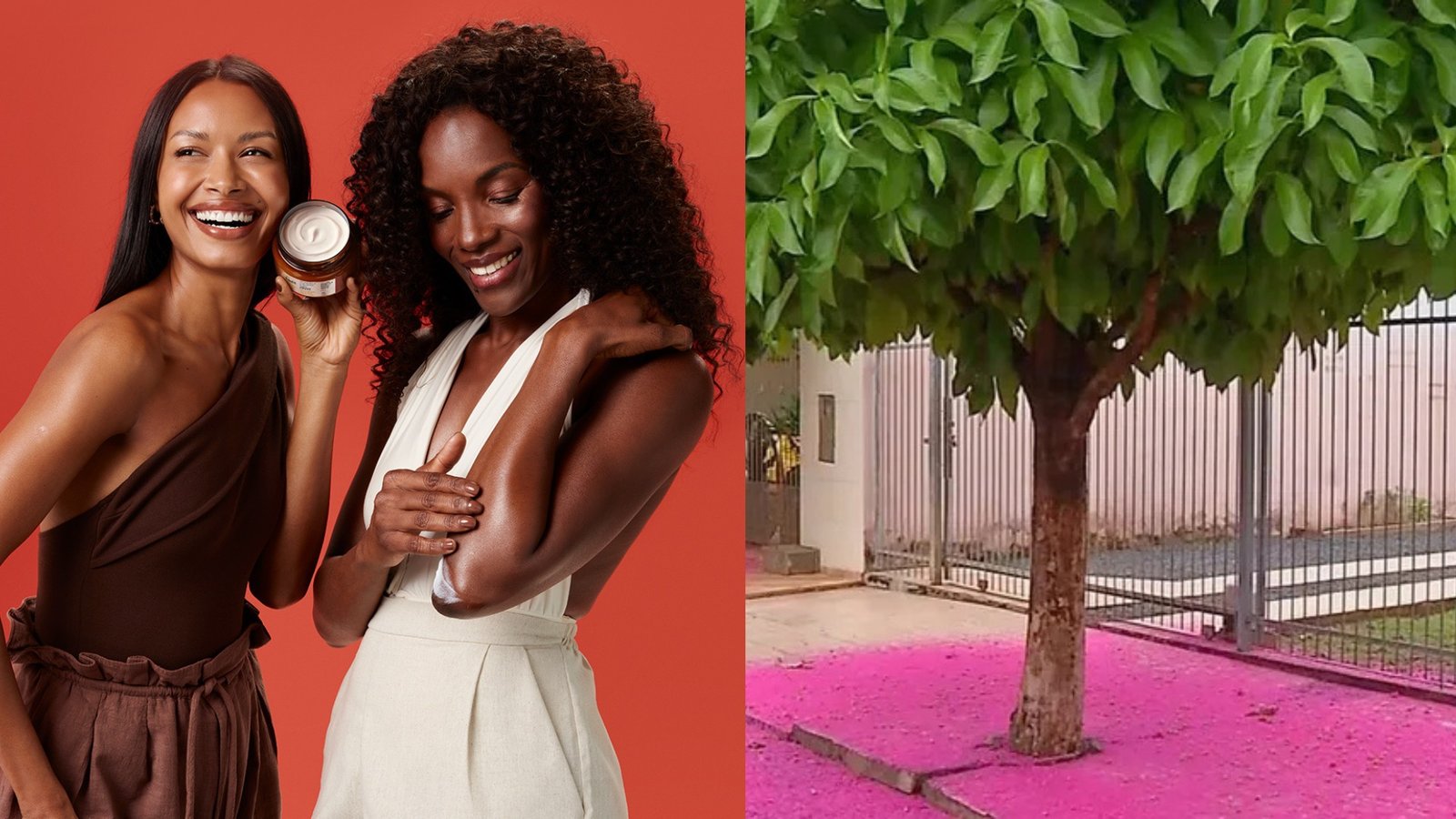 Consciência negra e riqueza da Amazônia: fruto jambo inspira linha de cuidados para peles pretas e pardas