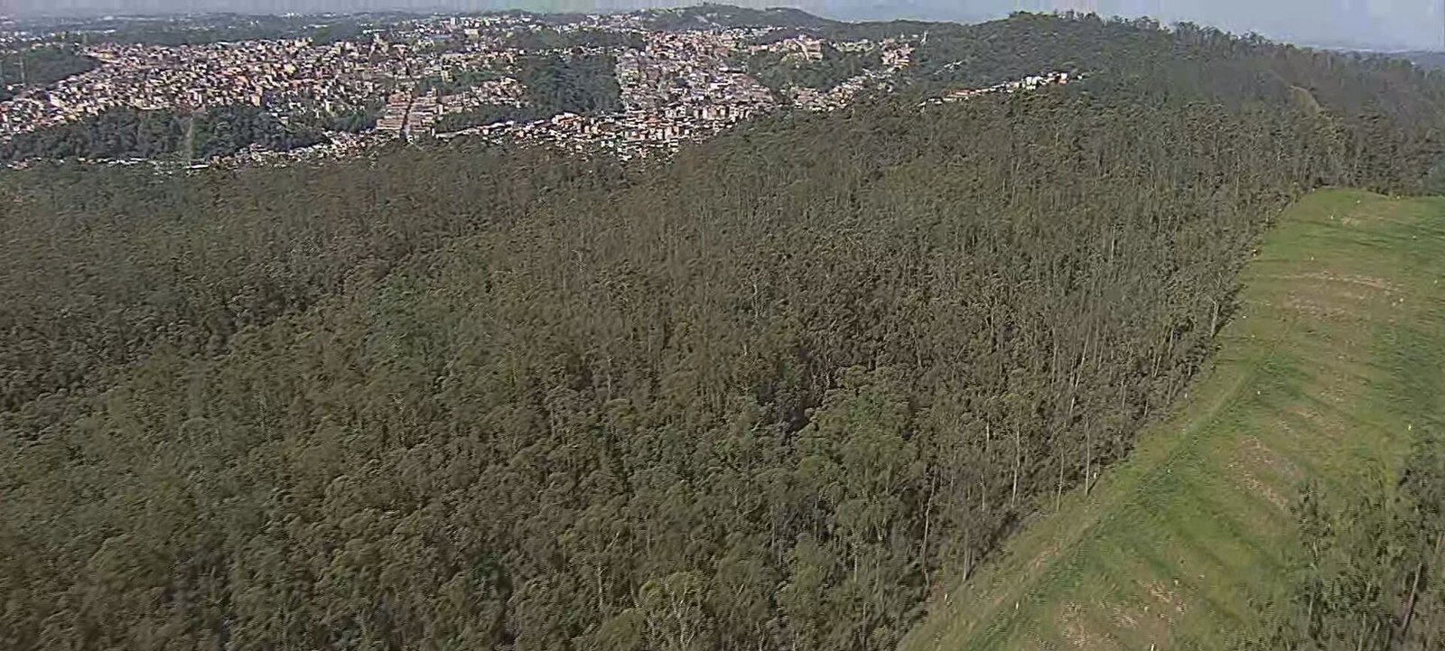Prefeitura de SP envia à Câmara projeto de lei que propõe derrubada de 10 mil árvores para ampliar aterro sanitário