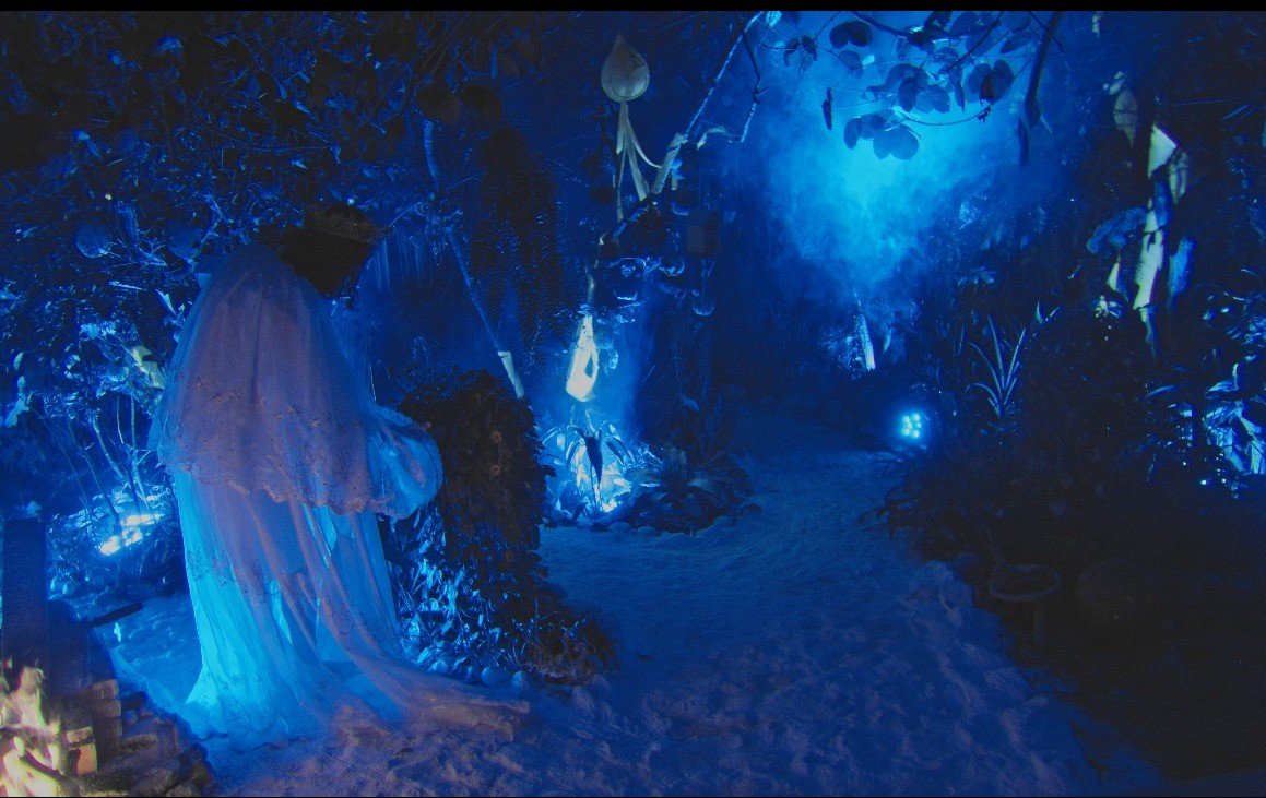 ‘O Pequeno Rei’: curta de ficção lançado em Divinópolis retrata a diversidade e a conexão com a natureza