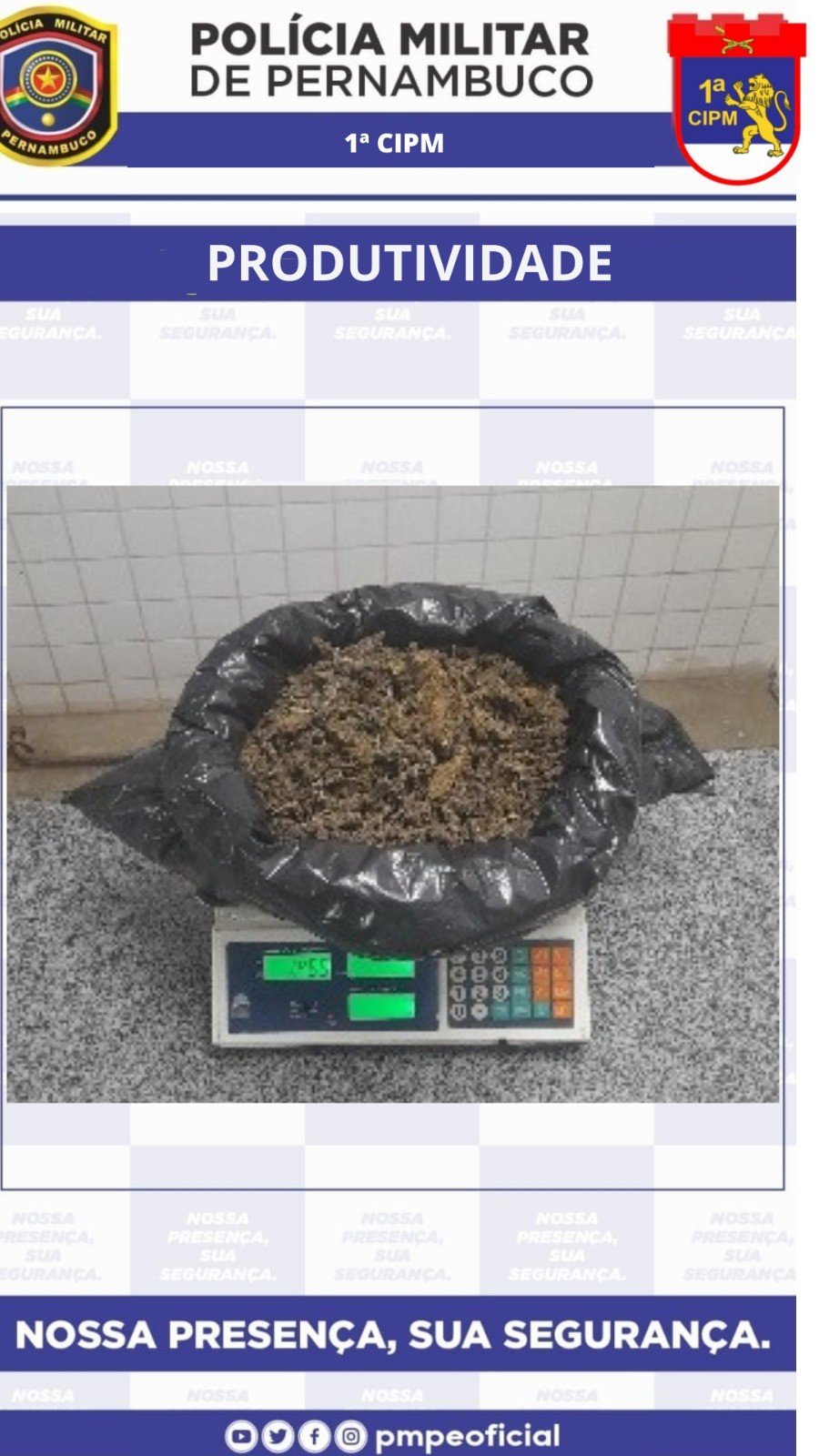 Homem foge a cavalo e polícia apreende maconha no Sertão de PE