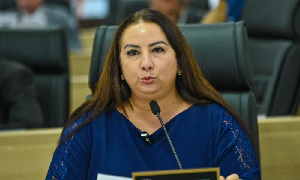 Elzinha defende derrubar veto ao PL que proíbe condenados em cargos públicos