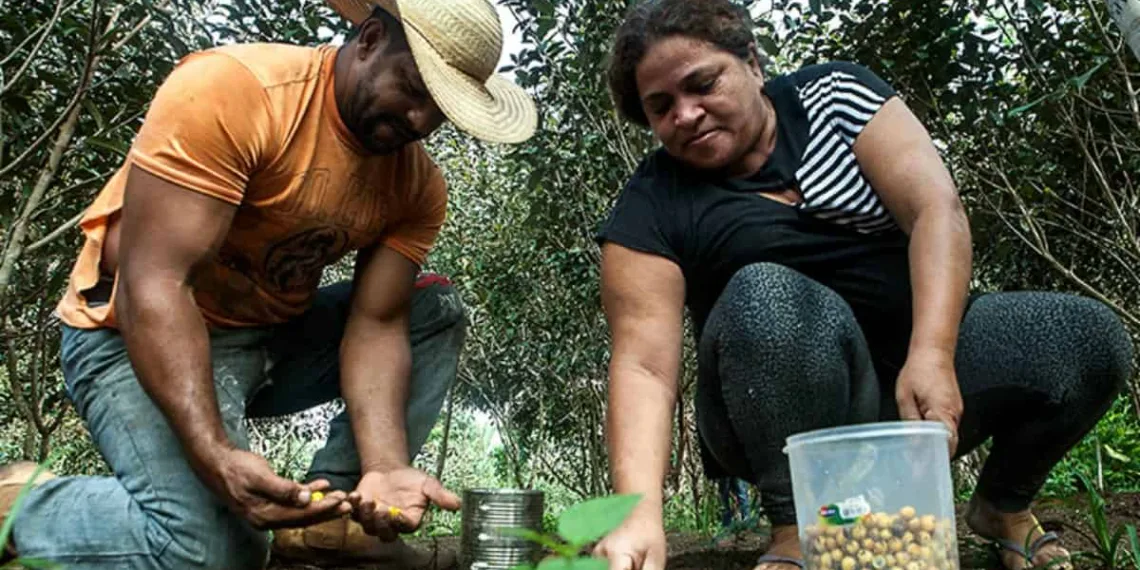 Abertas inscrições para vagas em projeto de assentamento no município de Mâncio Lima