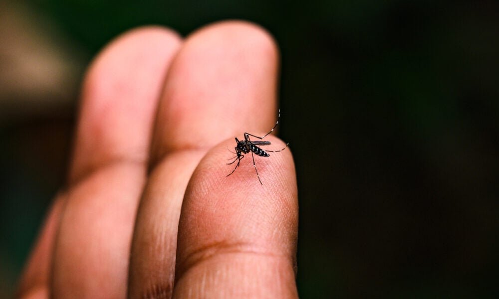 Acre vai receber mais de 47,5 mil testes rápidos de dengue