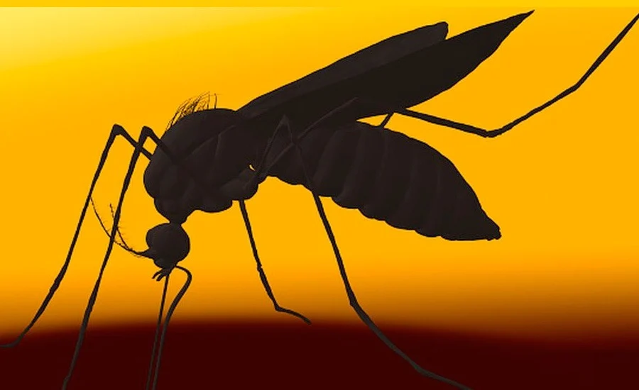 Acre lidera ranking dos estados com maior incidência de casos de dengue nas primeiras semanas de 2025