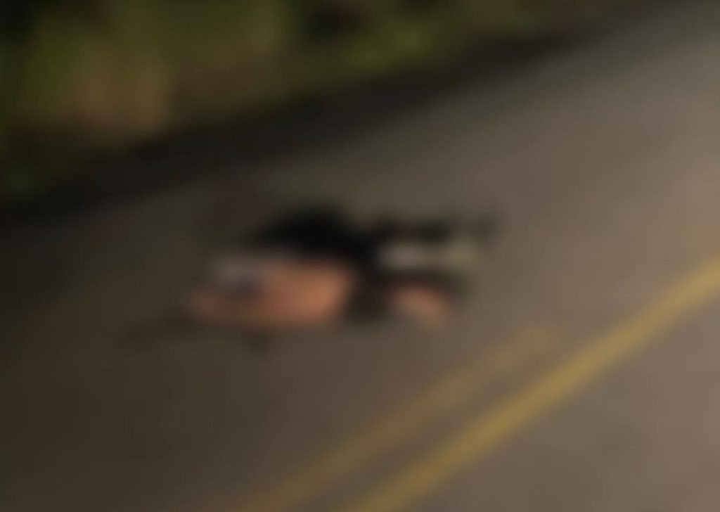 Homem é Atropelado na BR-364 e Motorista Foge; Polícia Conseguem Prender Suspeito