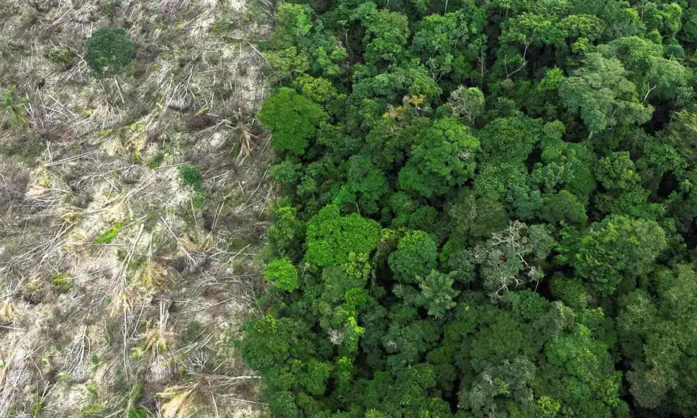 5ª Conferência Estadual de Meio Ambiente do Acre acontece nesta terça-feira (11)