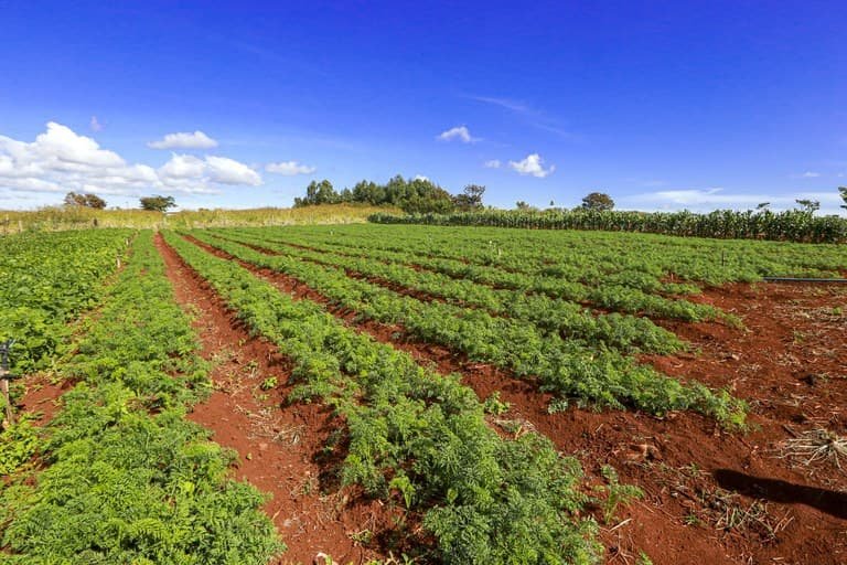 Governo Federal destina 72 mil hectares para 720 famílias no Acre