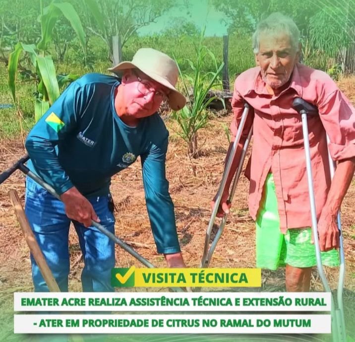 EMATER/ACRE PROMOVE ASSISTÊNCIA TÉCNICA E EXTENSÃO RURAL EM PROPRIEDADE DE PRODUTOR DE CITRUS
