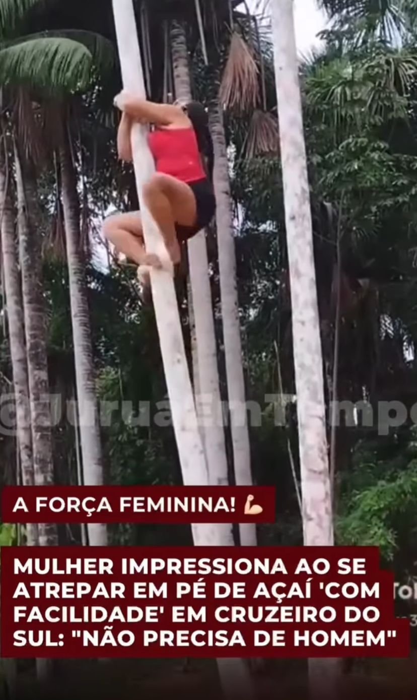 Mulher tenta colher açaí sozinha em Cruzeiro do Sul, mas desce às pressas ao encontrar ninho de marimbondos
