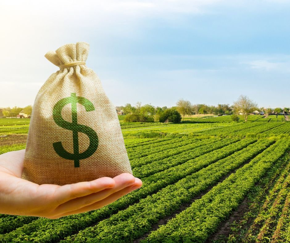Congresso mantém isenção fiscal para FIIs e Fiagro na reforma tributária