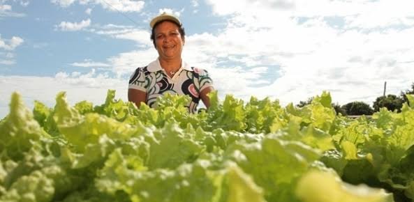 Liderança feminina no agro é parte da agenda estratégica da CNA
