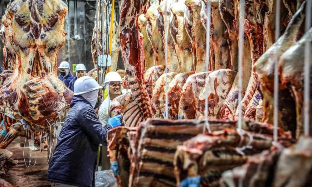 Acre pode entrar no ‘radar’ com abertura do mercado japonês para carne bovina