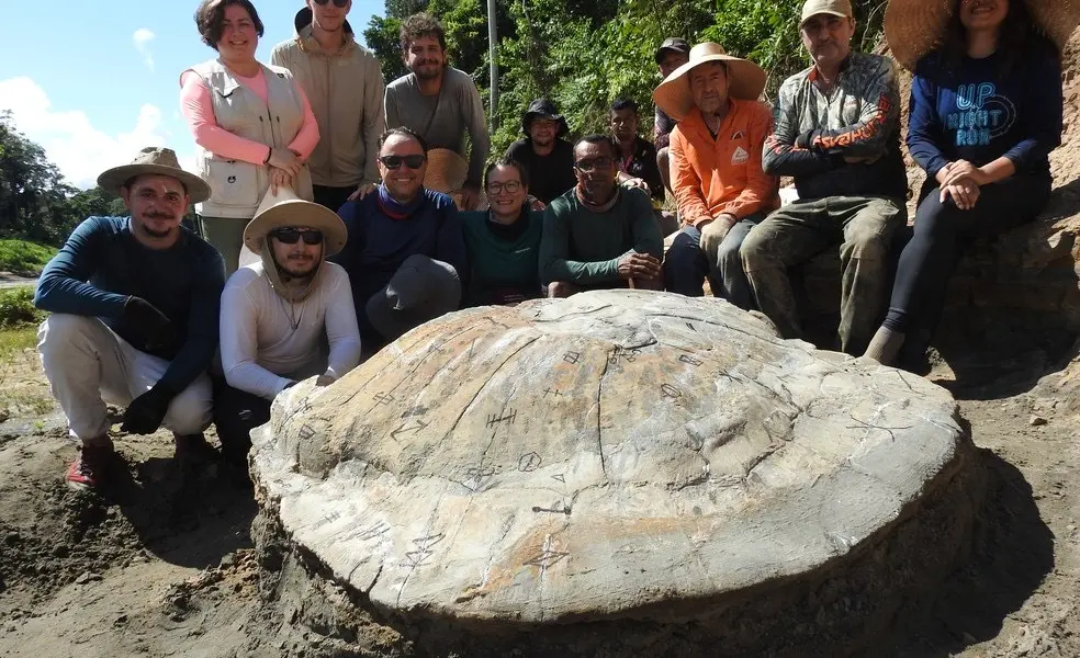 Fóssil de maior tartaruga água doce é encontrado no Acre