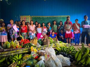 Secretaria de Agricultura apresenta balanço da execução do Programa de Aquisição de Alimentos Indígena