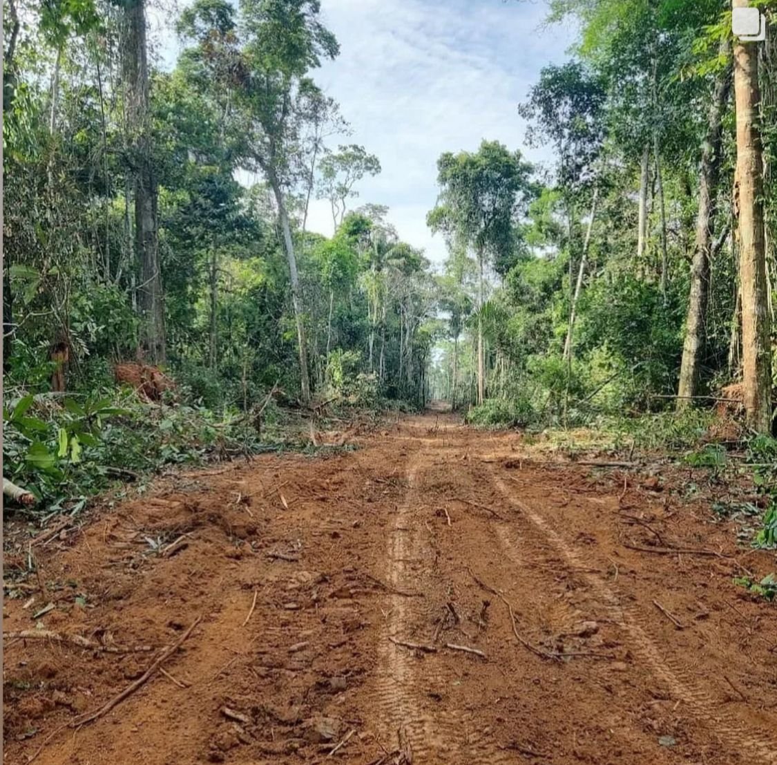 Porto Walter: 33 anos de resistência e o sonho de romper o isolamento geográfico