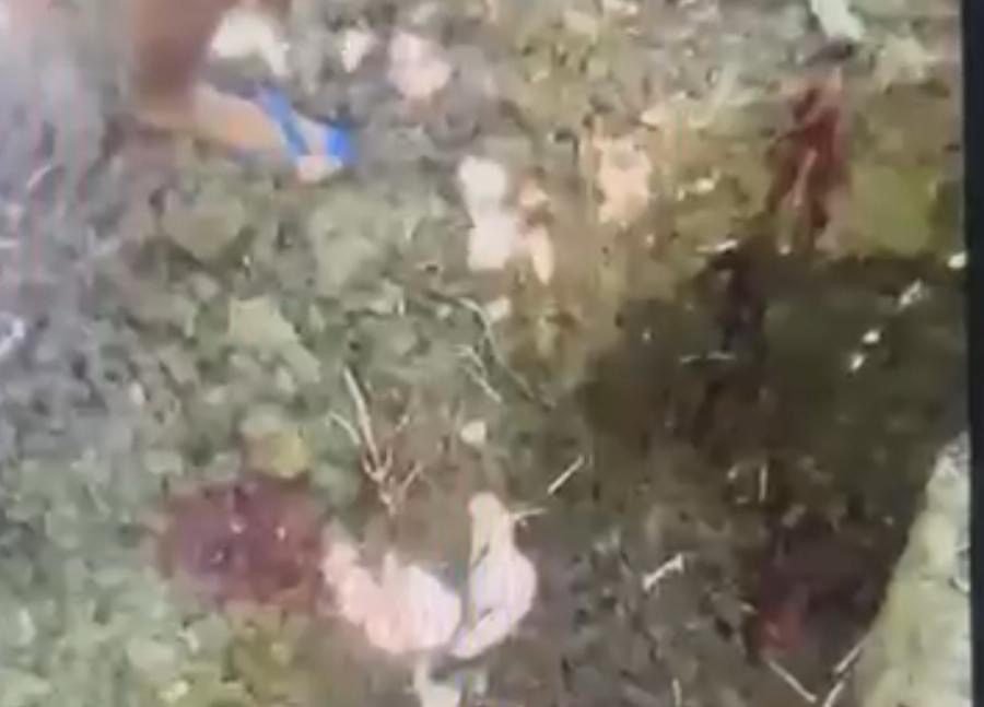 Polícia Civil localiza cova de homem executado na floresta após vazamento de vídeos chocantes no Vale do Juruá
