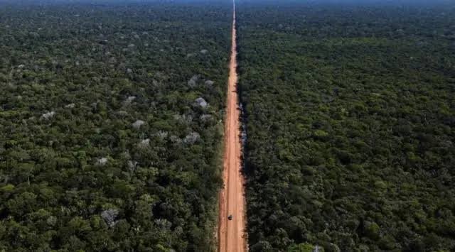 BR-319 só avança com Avaliação Ambiental Estratégica para garantir viabilidade