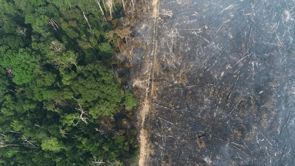 Apuí e Lábrea lideram ranking de desmatamento na Amazônia, aponta Imazon