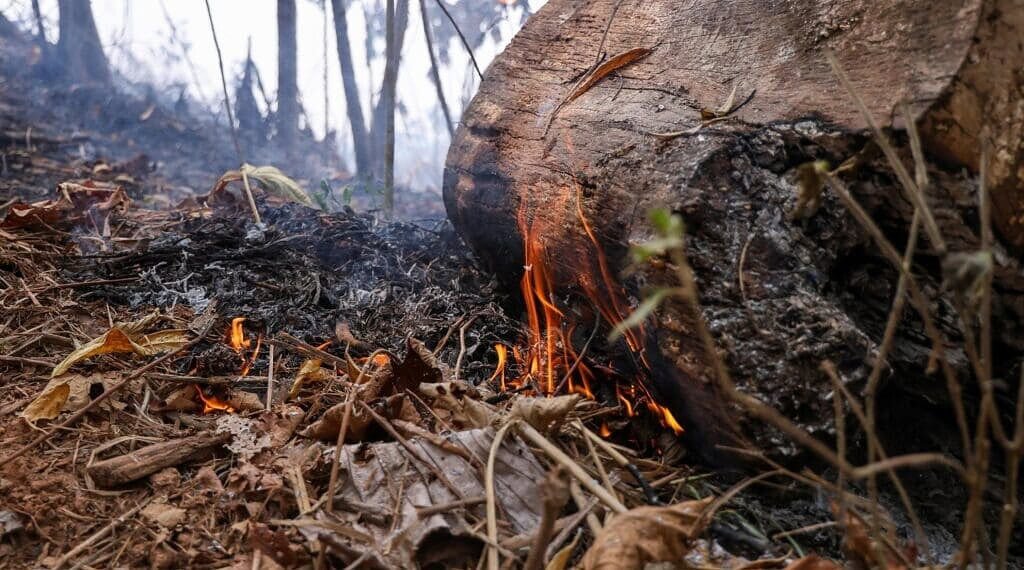Acre registra queda de quase 90% nos focos de incêndio no início de agosto