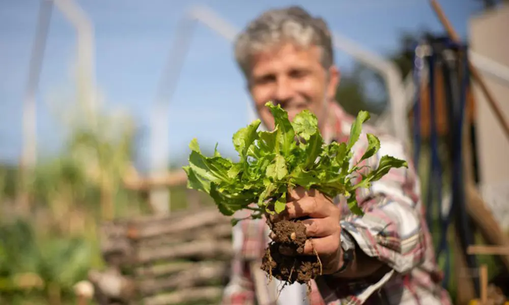 Acre é destaque no Norte em contratações do programa AgroAmigo