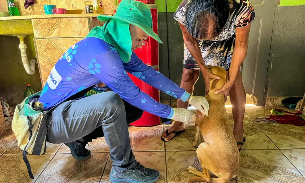 Brasileia realiza campanha de vacinação antirrábica para mais de 2 mil animais