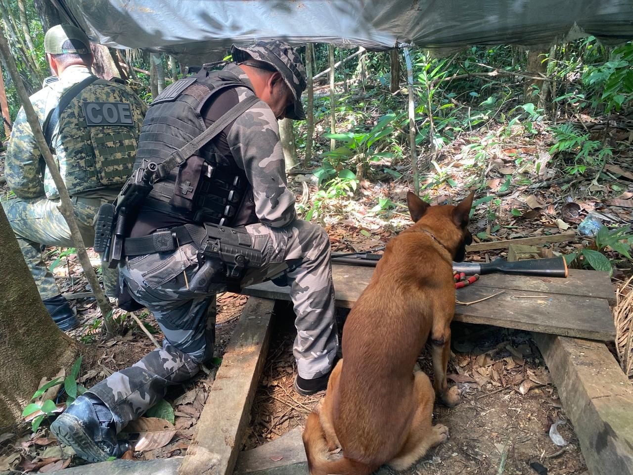 Polícia apreende espingarda calibre 12 durante operação na zona rural de Mâncio Lima