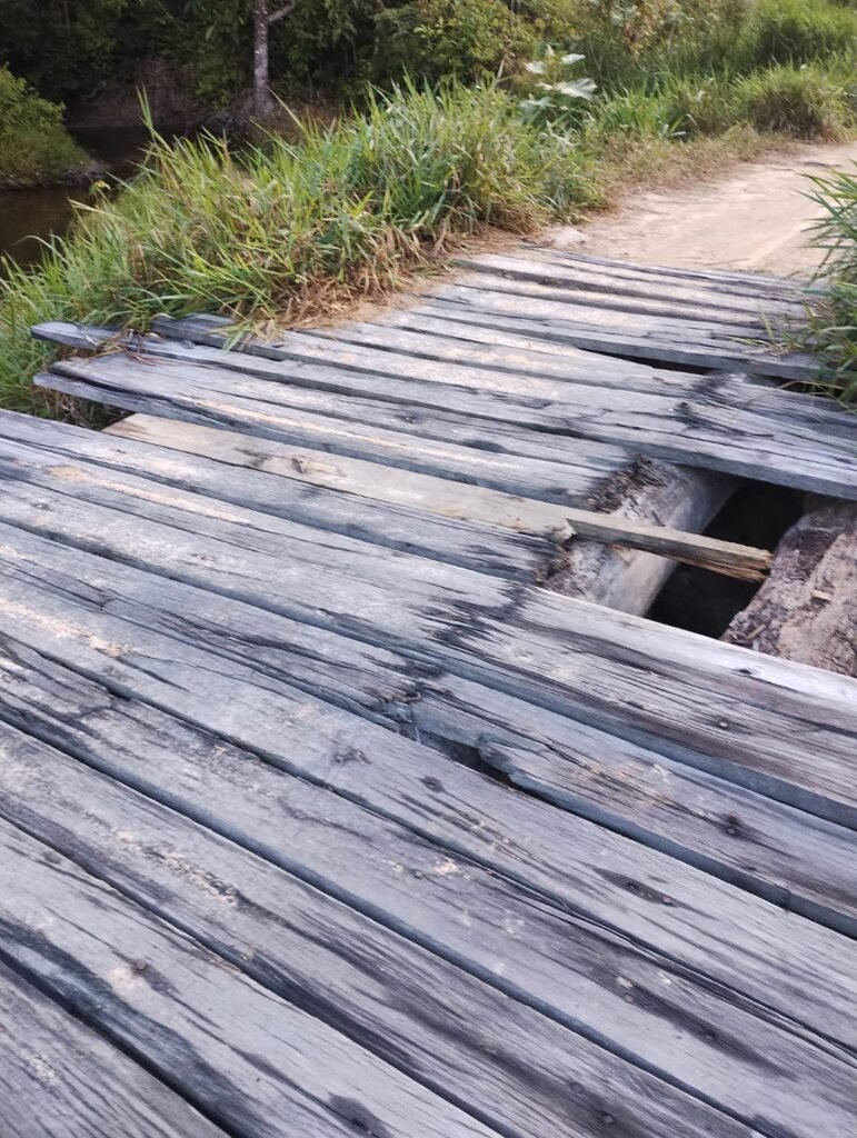 Comunidade Paraná da Floresta, em Guajará (AM), denuncia isolamento e pede socorro ao município
