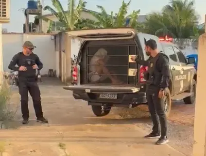 Acusado de roubar carro de motorista de aplicativo é preso