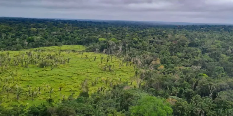 Verde Brasil minimiza conflitos com posseiros em dois seringais de Tarauacá