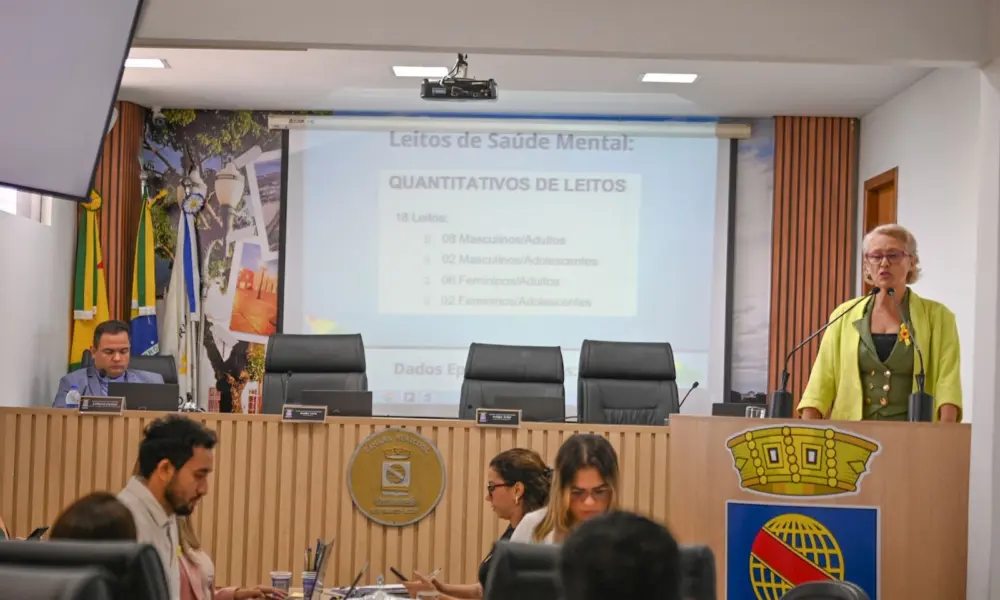 Audiência pública aborda aumento de tentativas de suicídio entre crianças