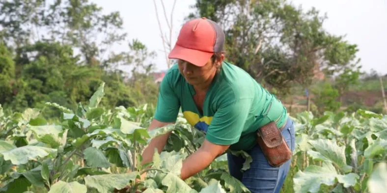 Cruzeiro do Sul abre credenciamento para agricultores familiares no PAA 2025