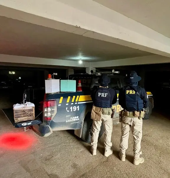 PRF apreende drogas, resgata aves e cumpre mandado de prisão no Acre