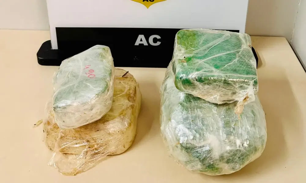 Polícia encontra 2,5 kg de cocaína enterrados em Cruzeiro do Sul