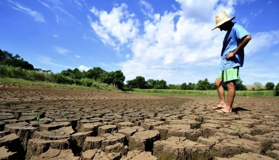 Acre registra seca em 100% do território e tem pior índice de 2025