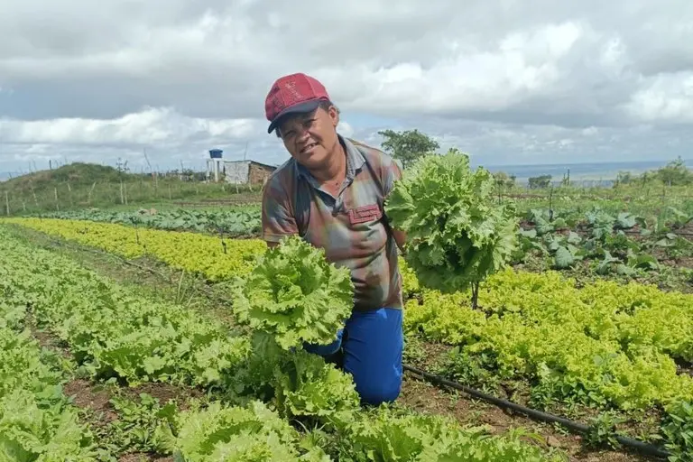 Acre tem quase 6 mil famílias atendidas pelo ‘Bolsa Verde’