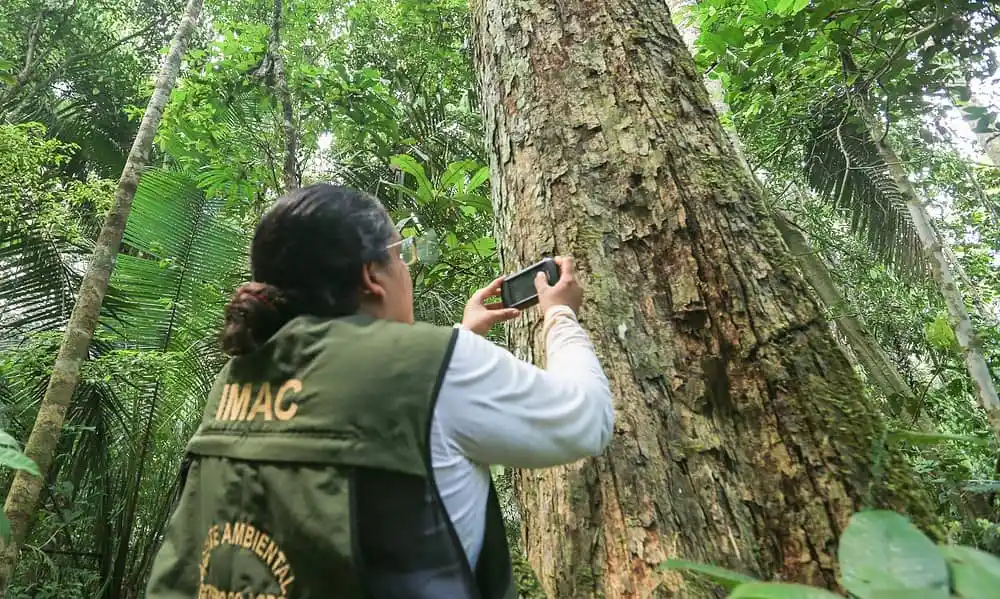 Governo cria Comissão de Educação Ambiental para fortalecer políticas públicas no setor