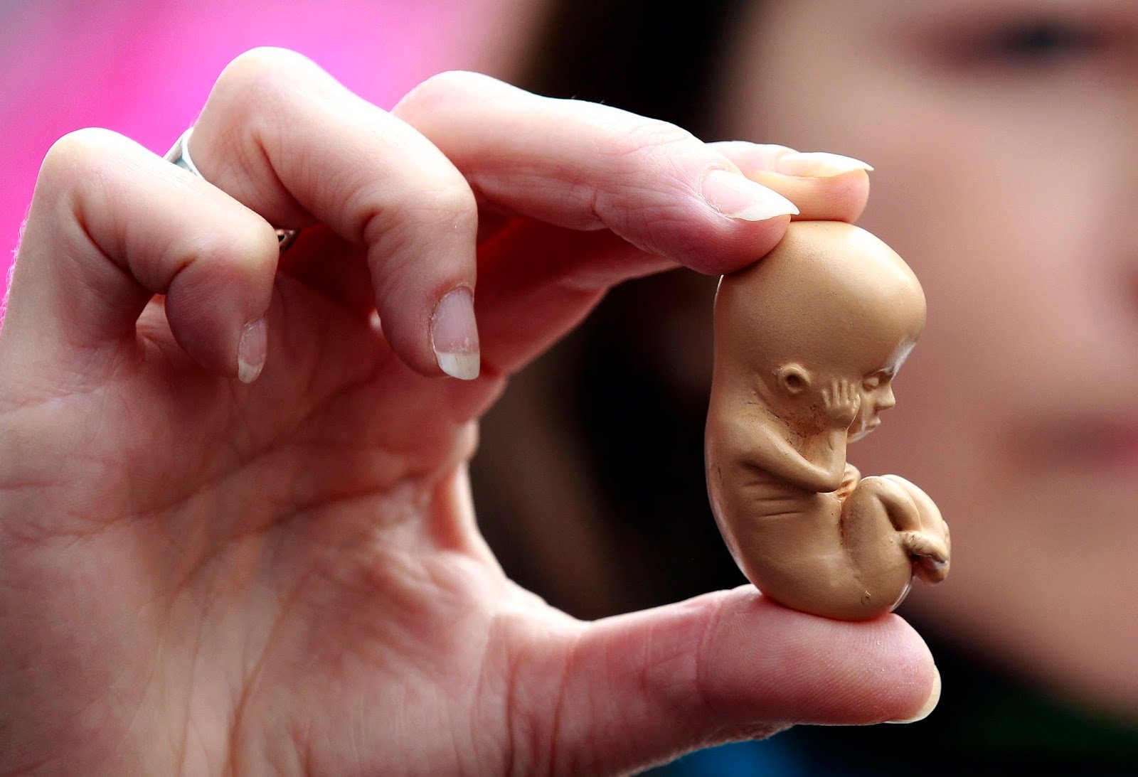 A pro-life campaigner holds up a model of a 12-week-old embryo during a protest outside the Marie Stopes clinic in Belfast October 18, 2012. The first private clinic offering abortions opened in Northern Ireland on Thursday, making access to abortion much easier for women in both Northern Ireland and the Republic of Ireland. REUTERS/Cathal McNaughton (NORTHERN IRELAND - Tags: HEALTH SOCIETY RELIGION)