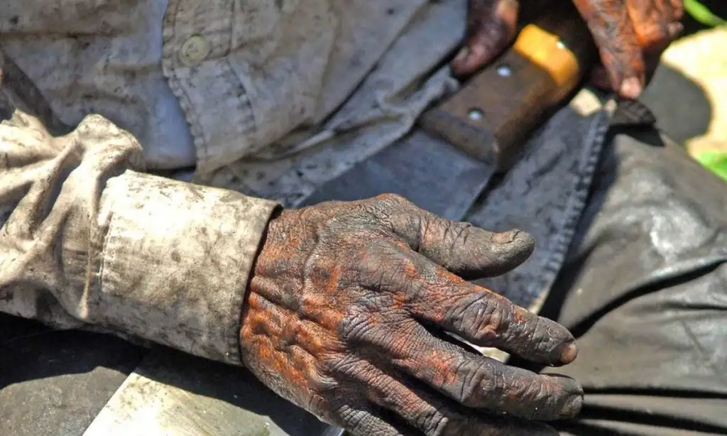 Empresários do Acre são incluídos na nova ‘Lista Suja’ do trabalho escravo