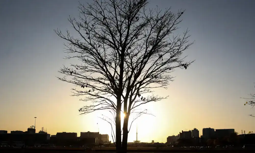 Cientista alerta para risco de aquecimento global por longo tempo