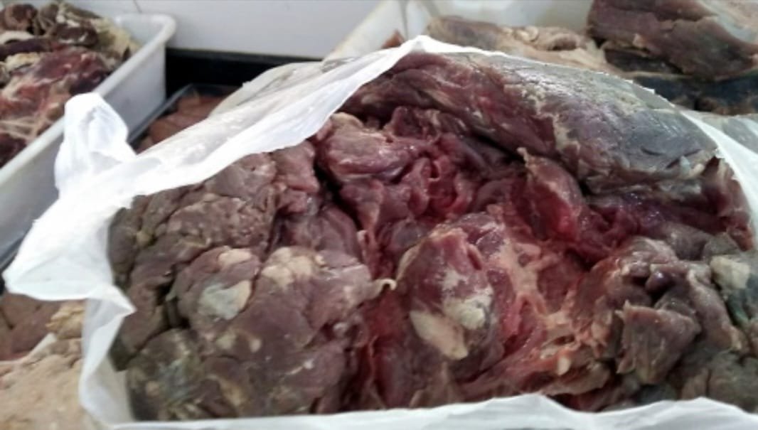 Moradores do Gama, comunidade rural em Guajará (AM), denunciam demora no restabelecimento de energia após chuvas