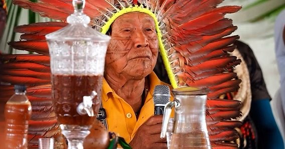 Ayahuasca entre o sagrado e o mercado: Acre acende alerta para distorções no uso da bebida