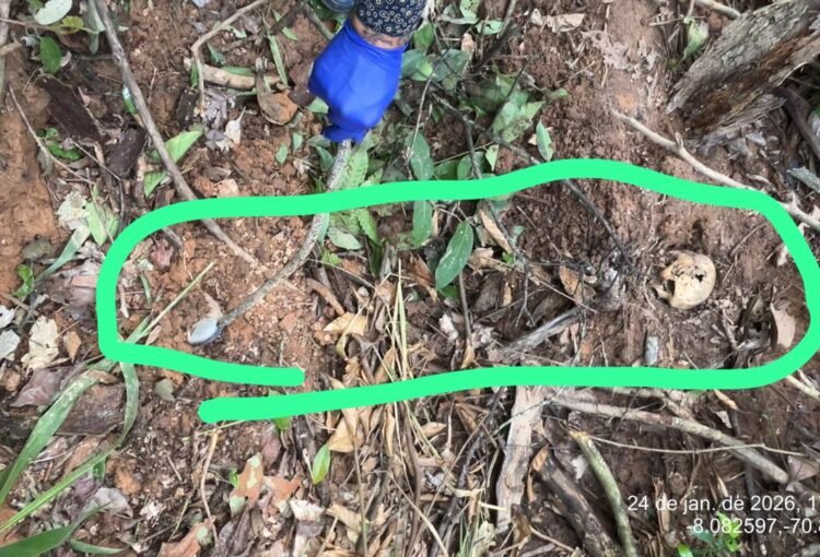 Polícia Civil prende suspeito de homicídio qualificado e ocultação de cadáver na zona rural de Tarauacá