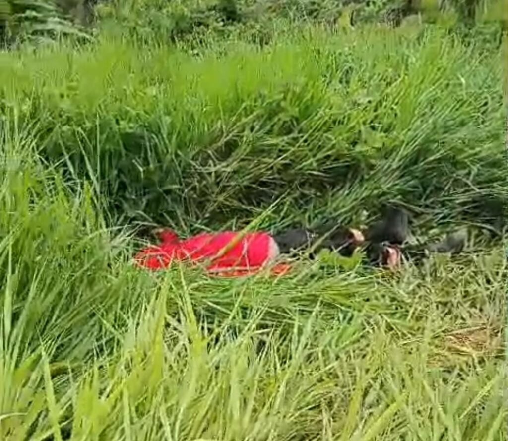 Veículo com trabalhadores capota próximo à Vila Liberdade, na BR-364; veja vídeo