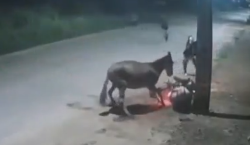 Comparsa no crime? Cavalo derruba motociclista e facilita assalto; veja vídeo