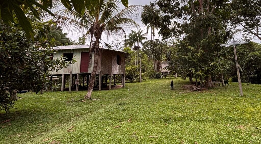 Indígenas denunciam abandono, falta de energia e prejuízos à segurança alimentar no território continental