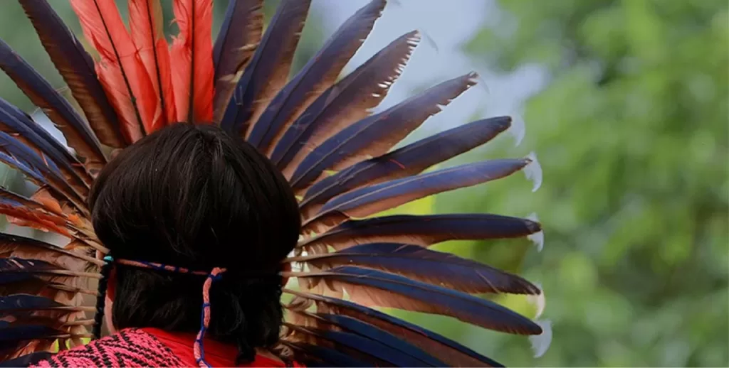 Liderança indígena é ferida por armadilha de arma de fogo em área do povo Noke Koi (Katukina), em Cruzeiro do Sul