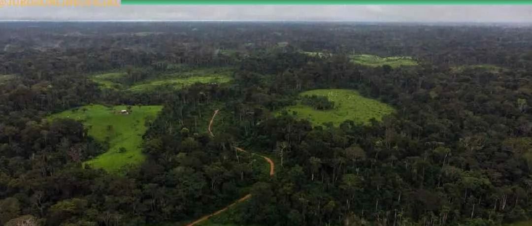 Dois homens desaparecem após se perderem na mata em Cruzeiro do vale