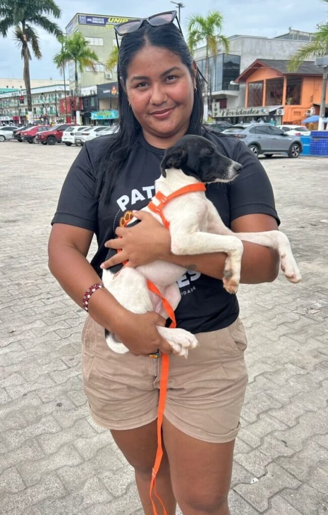 Cruzeiro do Sul terá Feira de Adoção de Animais neste sábado