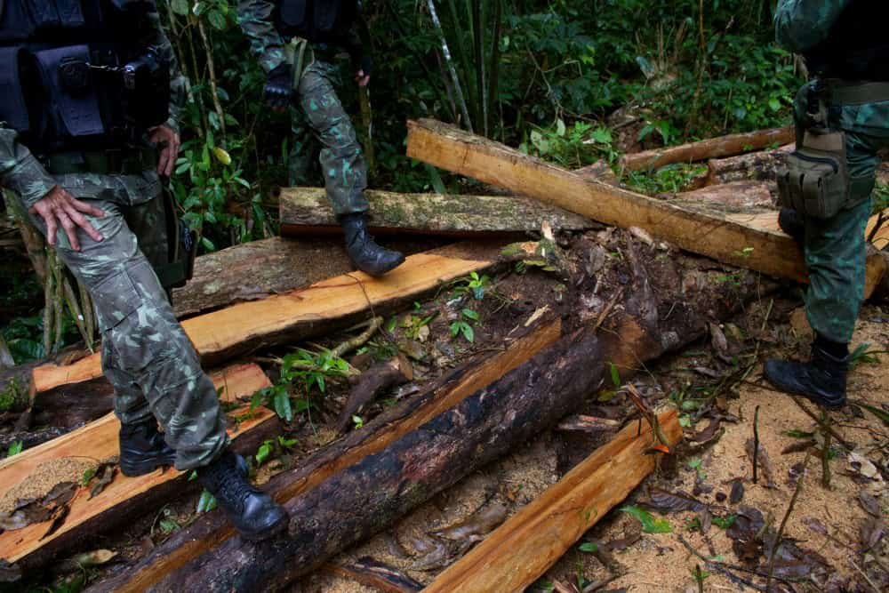 Violência na Amazônia cresce com avanço do crime organizado e atividades ilegais, aponta estudo
